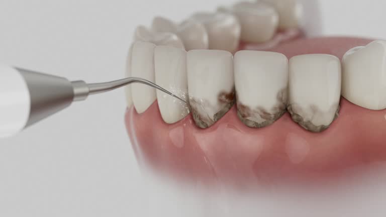 Reliable Dental contractor in Midland, MI by Dentist Open Now